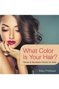 What Color Is Your Hair? Sense & Sensation Books for Kids