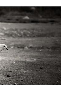 White Pigeon Notebook