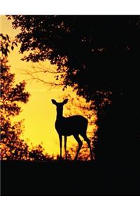 Doe a Deer Blank Sketchbook