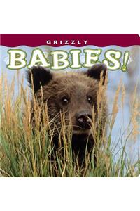 Grizzly Babies!