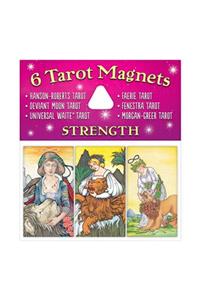 Strength Magnet Set