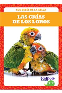 Las Crías de Los Loros (Parrot Chicks)