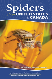 Spiders of the United States & Canada