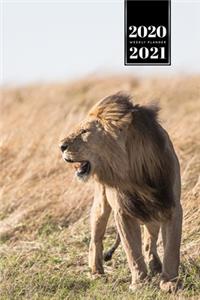 Lion Week Planner Weekly Organizer Calendar 2020 / 2021 - Windy Meadow