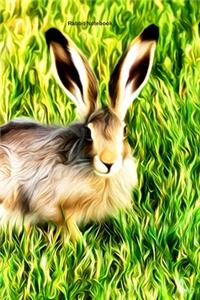 Rabbit Notebook