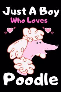 Just a boy who loves poddle