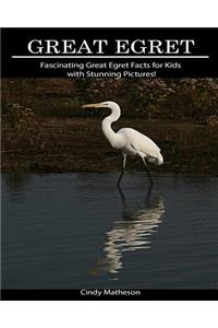 Great Egret: Fascinating Great Egret Facts for Kids with Stunning Pictures!