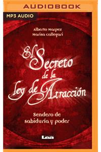 Secreto de la Ley de Atracción (Narración En Castellano)