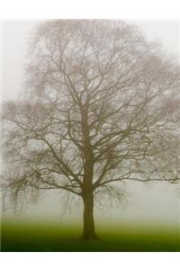 Tree Notebook