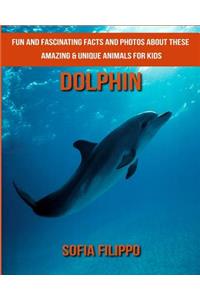 Dolphin