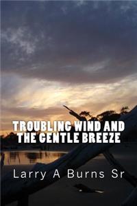 Troubling Wind and the Gentle Breeze
