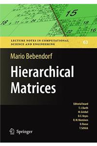 Hierarchical Matrices