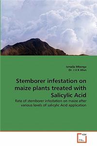 Stemborer infestation on maize plants treated with Salicylic Acid