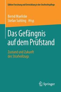 Das Gefängnis Auf Dem Prüfstand: Zustand Und Zukunft Des Strafvollzugs