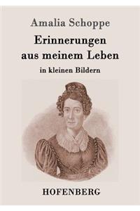 Erinnerungen aus meinem Leben