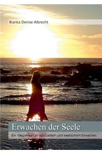 Erwachen der Seele