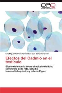 Efectos del Cadmio en el testículo
