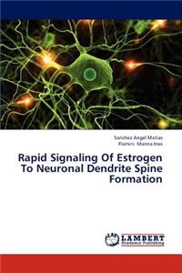 Rapid Signaling of Estrogen to Neuronal Dendrite Spine Formation