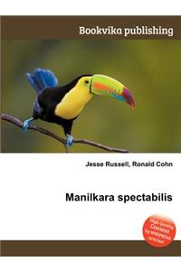 Manilkara Spectabilis