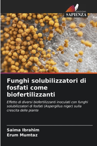 Funghi solubilizzatori di fosfati come biofertilizzanti