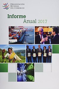 Informe Anual 2017