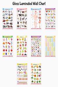 Educational Gloss Lamination wall English-Hindi charts : Alphabet, Fruits, Vegetables, Animals, Body Parts, Numbers, Multiplication, Hindi Varnmala, Flowers, Vehicles - Kids learning Charts | Pack of 10 charts