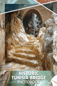Historic Tunisia Bridge Photo Book