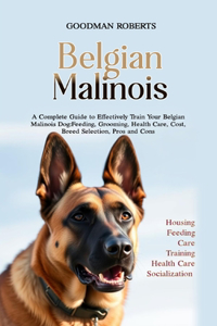 Belgian Malinois