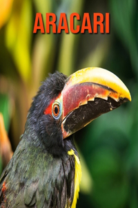 Aracari