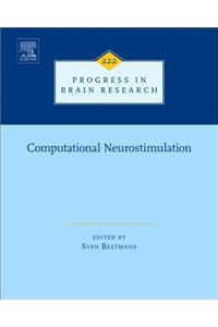 Computational Neurostimulation