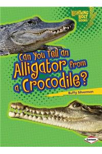 Can You Tell an Alligator from a Crocodile?