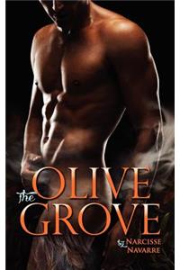 Olive Grove