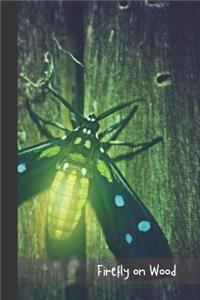 Firefly on wood