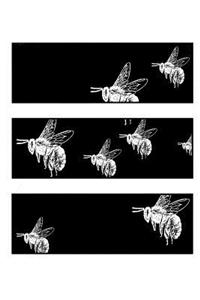 Creaturely Bee Notebook