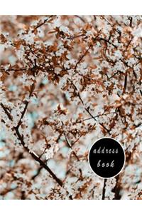 Address Book Large Print