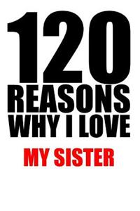 120 reasons why i love my sister