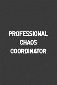 Professional Chaos Coordinator