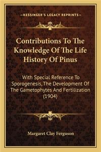 Contributions to the Knowledge of the Life History of Pinus