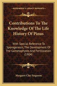 Contributions To The Knowledge Of The Life History Of Pinus