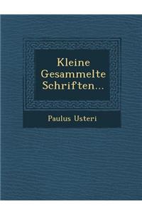 Kleine Gesammelte Schriften...