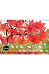 Shrubs and Trees in Spring and Autumn 2017