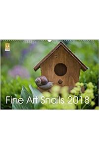 Fine Art Snails 2018 2018