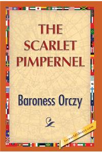 Scarlet Pimpernel