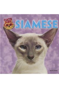 Siamese