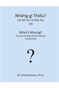 What's Missing? Puzzles for Educational Testing