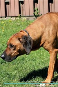 Rhodesian Ridgeback Affirmations Workbook Rhodesian Ridgeback Presents