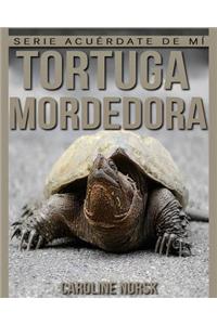 Tortuga mordedora