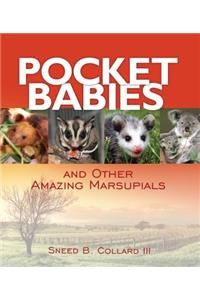 Pocket Babies