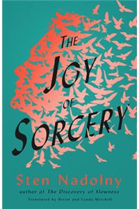 Joy of Sorcery