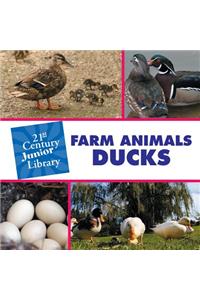 Farm Animals: Ducks